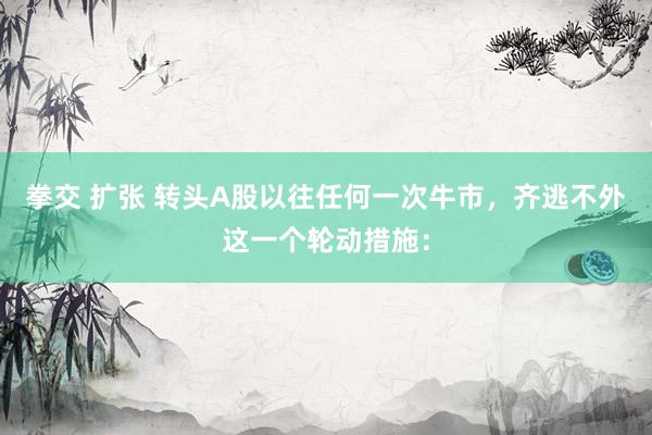 拳交 扩张 转头A股以往任何一次牛市,齐逃不外这一个轮动措施: