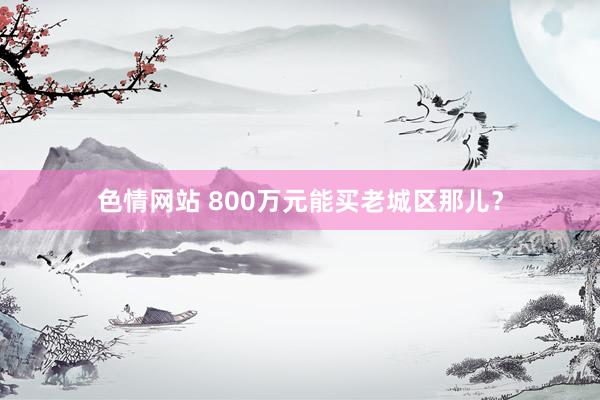 色情网站 800万元能买老城区那儿？