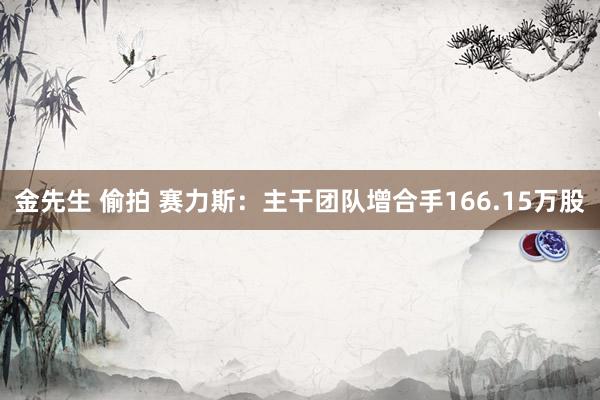 金先生 偷拍 赛力斯：主干团队增合手166.15万股