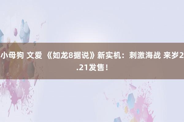 小母狗 文爱 《如龙8据说》新实机:刺激海战 来岁2.21发售!