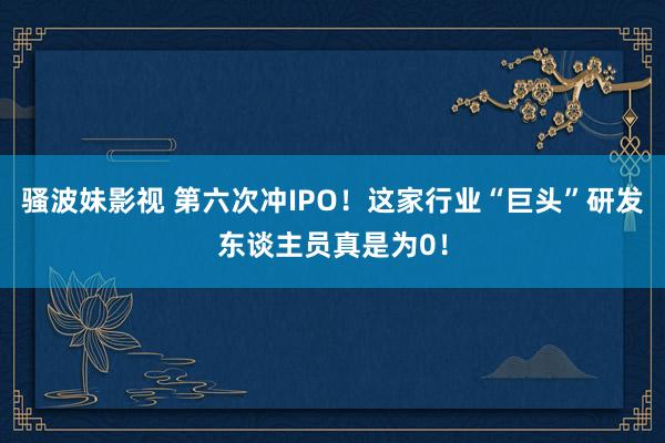 骚波妹影视 第六次冲IPO!这家行业“巨头”研发东谈主员真是为0!