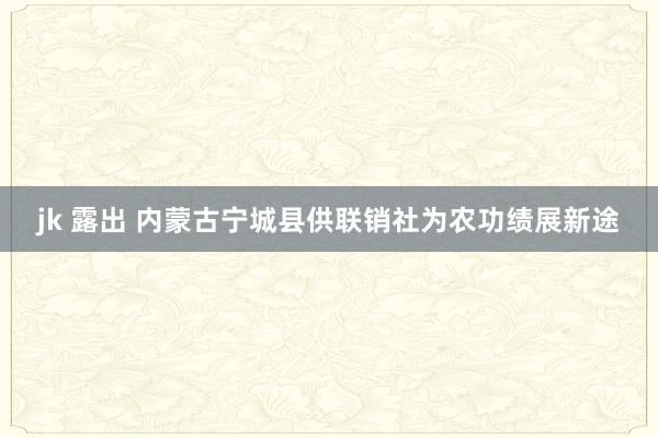 jk 露出 内蒙古宁城县供联销社为农功绩展新途