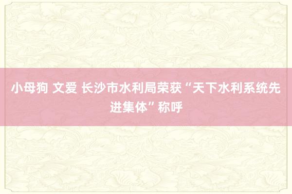 小母狗 文爱 长沙市水利局荣获“天下水利系统先进集体”称呼