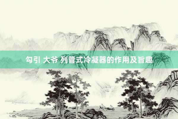 勾引 大爷 列管式冷凝器的作用及旨趣