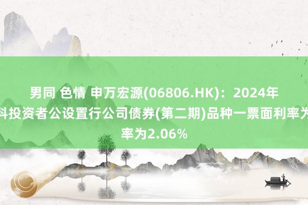 男同 色情 申万宏源(06806.HK)：2024年面向专科投资者公设置行公司债券(第二期)品种一票面利率为2.06%