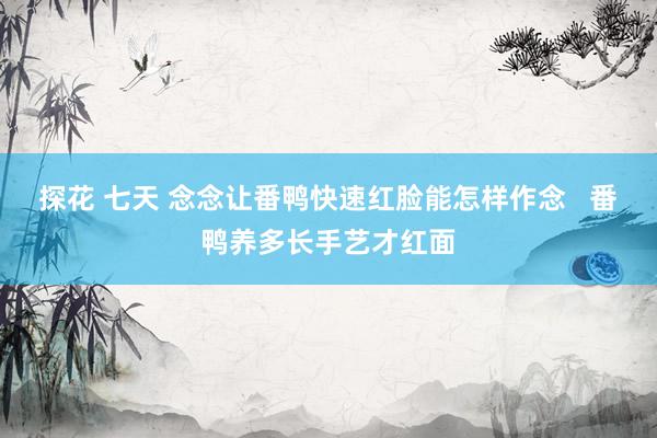 探花 七天 念念让番鸭快速红脸能怎样作念   番鸭养多长手艺才红面