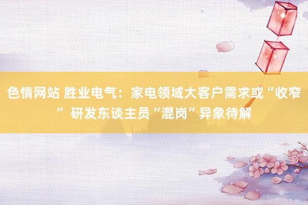色情网站 胜业电气：家电领域大客户需求或“收窄” 研发东谈主员“混岗”异象待解