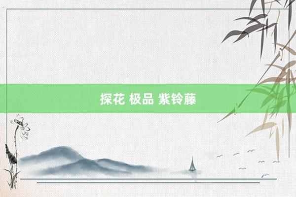 探花 极品 紫铃藤