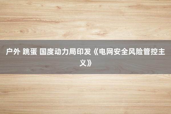 户外 跳蛋 国度动力局印发《电网安全风险管控主义》