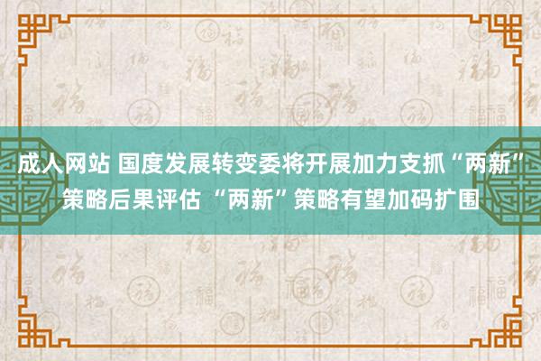 成人网站 国度发展转变委将开展加力支抓“两新”策略后果评估 “两新”策略有望加码扩围