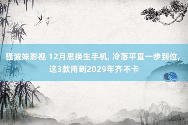 骚波妹影视 12月思换生手机， 冷落平直一步到位， 这3款用到2029年齐不卡