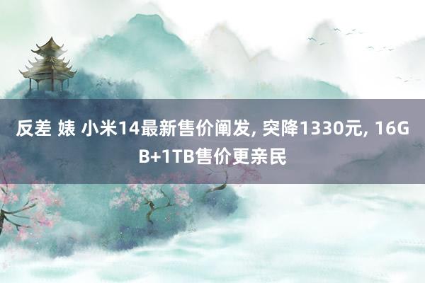 反差 婊 小米14最新售价阐发， 突降1330元， 16GB+1TB售价更亲民