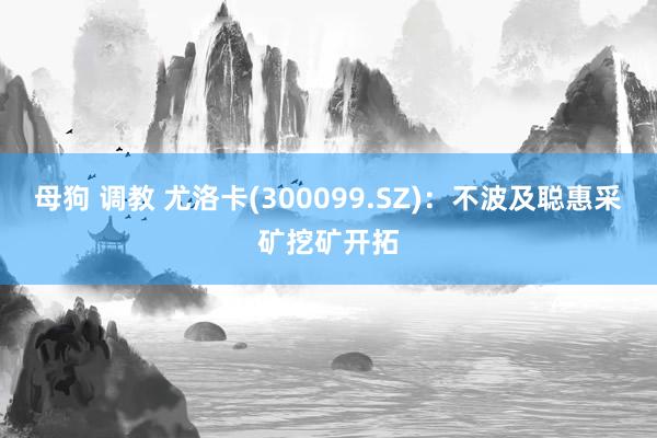 母狗 调教 尤洛卡(300099.SZ):不波及聪惠采矿挖矿开拓