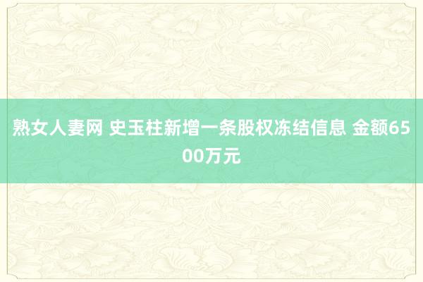 熟女人妻网 史玉柱新增一条股权冻结信息 金额6500万元