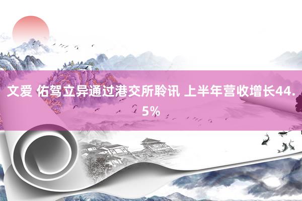 文爱 佑驾立异通过港交所聆讯 上半年营收增长44.5%