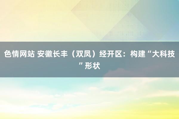 色情网站 安徽长丰（双凤）经开区：构建“大科技”形状