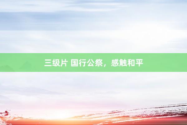 三级片 国行公祭，感触和平