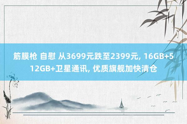 筋膜枪 自慰 从3699元跌至2399元， 16GB+512GB+卫星通讯， 优质旗舰加快清仓