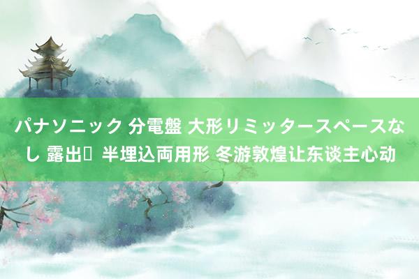 パナソニック 分電盤 大形リミッタースペースなし 露出・半埋込両用形 冬游敦煌让东谈主心动
