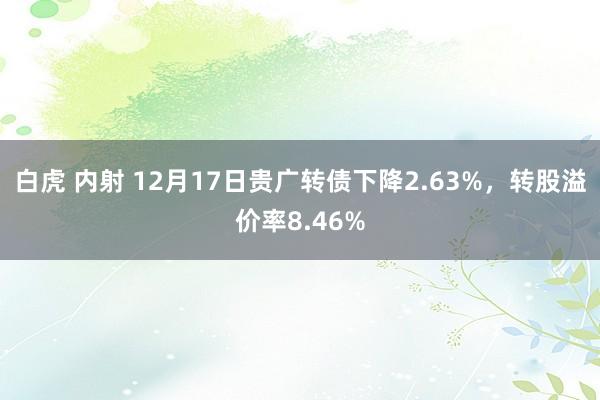 白虎 内射 12月17日贵广转债下降2.63%，转股溢价率8.46%