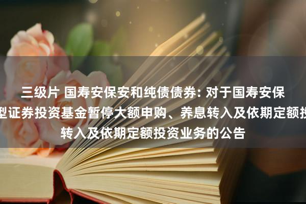 三级片 国寿安保安和纯债债券: 对于国寿安保安和纯债债券型证券投资基金暂停大额申购、养息转入及依期定额投资业务的公告