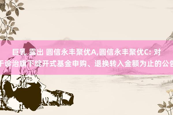 巨乳 露出 圆信永丰聚优A,圆信永丰聚优C: 对于诊治旗下绽开式基金申购、退换转入金额为止的公告