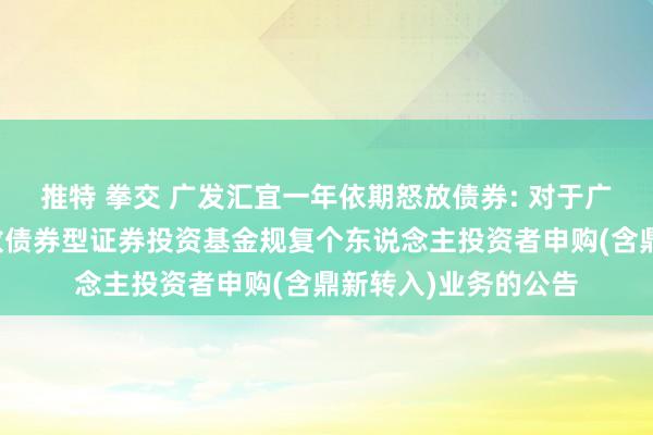 推特 拳交 广发汇宜一年依期怒放债券: 对于广发汇宜一年依期怒放债券型证券投资基金规复个东说念主投资者申购(含鼎新转入)业务的公告