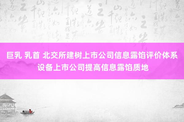 巨乳 乳首 北交所建树上市公司信息露馅评价体系 设备上市公司提高信息露馅质地
