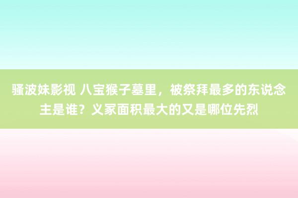 骚波妹影视 八宝猴子墓里，被祭拜最多的东说念主是谁？义冢面积最大的又是哪位先烈