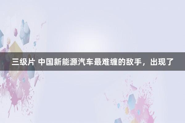 三级片 中国新能源汽车最难缠的敌手，出现了