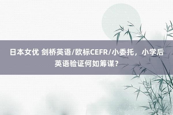 日本女优 剑桥英语/欧标CEFR/小委托，小学后英语验证何如筹谋？