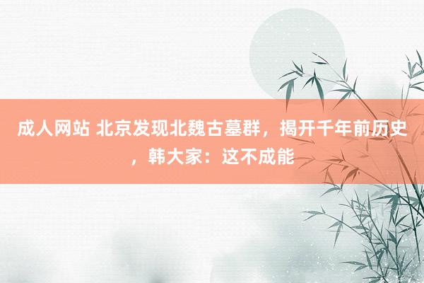 成人网站 北京发现北魏古墓群，揭开千年前历史，韩大家：这不成能