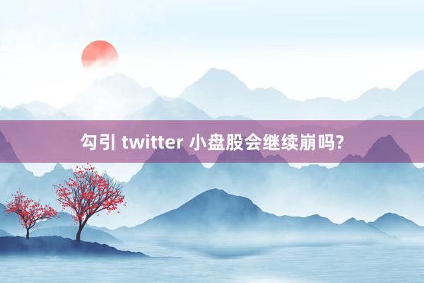 勾引 twitter 小盘股会继续崩吗?