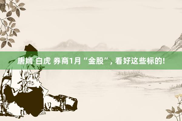 唐嫣 白虎 券商1月“金股”， 看好这些标的!