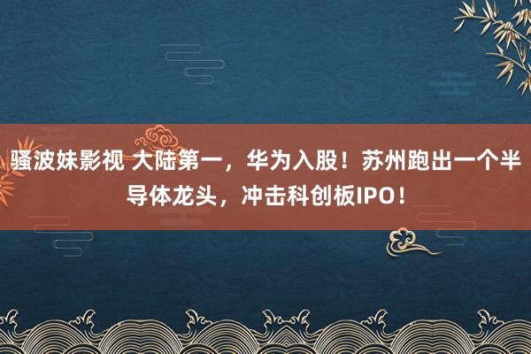 骚波妹影视 大陆第一，华为入股！苏州跑出一个半导体龙头，冲击科创板IPO！