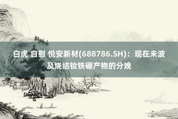 白虎 自慰 悦安新材(688786.SH)：现在未波及烧结钕铁硼产物的分娩