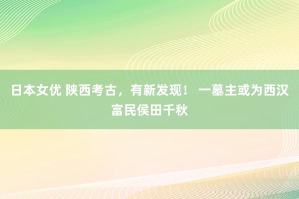 日本女优 陕西考古，有新发现！ 一墓主或为西汉富民侯田千秋