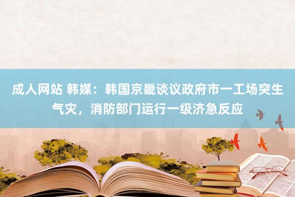 成人网站 韩媒：韩国京畿谈议政府市一工场突生气灾，消防部门运行一级济急反应