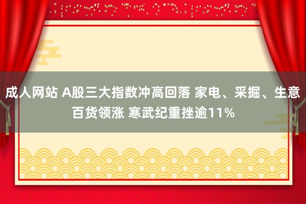 成人网站 A股三大指数冲高回落 家电、采掘、生意百货领涨 寒武纪重挫逾11%