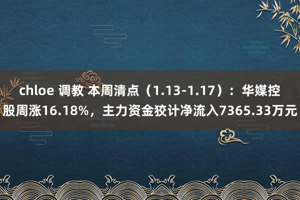 chloe 调教 本周清点（1.13-1.17）：华媒控股周涨16.18%，主力资金狡计净流入7365.33万元