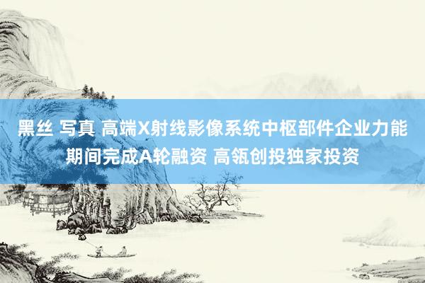黑丝 写真 高端X射线影像系统中枢部件企业力能期间完成A轮融资 高瓴创投独家投资