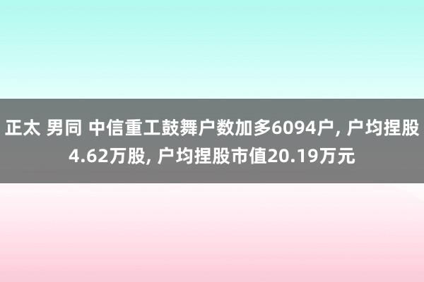 正太 男同 中信重工鼓舞户数加多6094户， 户均捏股4.62万股， 户均捏股市值20.19万元