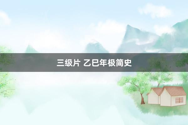 三级片 乙巳年极简史