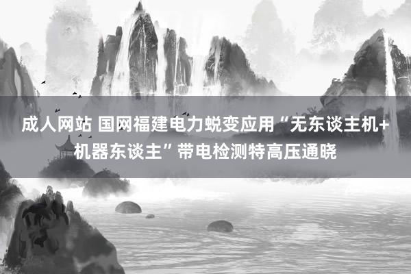 成人网站 国网福建电力蜕变应用“无东谈主机+机器东谈主”带电检测特高压通晓