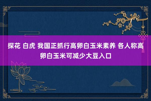 探花 白虎 我国正抓行高卵白玉米素养 各人称高卵白玉米可减少大豆入口