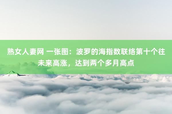 熟女人妻网 一张图：波罗的海指数联络第十个往未来高涨，达到两个多月高点