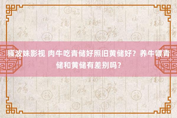 骚波妹影视 肉牛吃青储好照旧黄储好？养牛喂青储和黄储有差别吗？