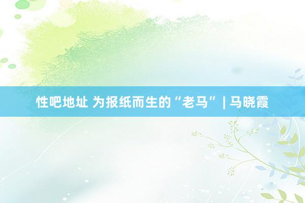 性吧地址 为报纸而生的“老马” | 马晓霞