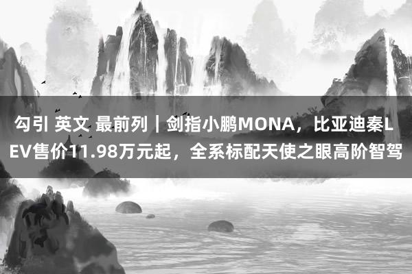 勾引 英文 最前列｜剑指小鹏MONA，比亚迪秦L EV售价11.98万元起，全系标配天使之眼高阶智驾