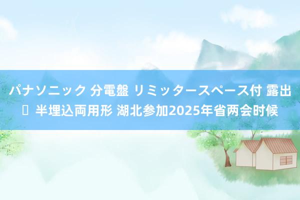 パナソニック 分電盤 リミッタースペース付 露出・半埋込両用形 湖北参加2025年省两会时候